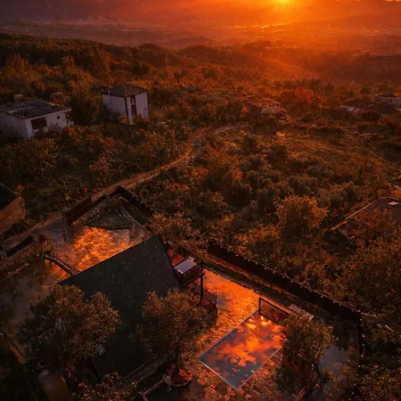 Vista *