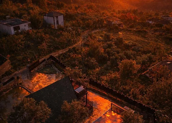 Vista *